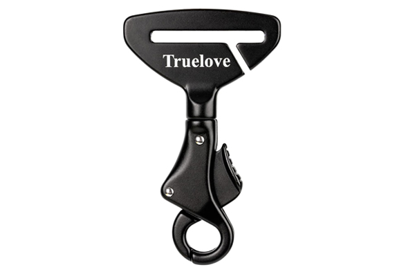 Attache harnais pour chien en voyage