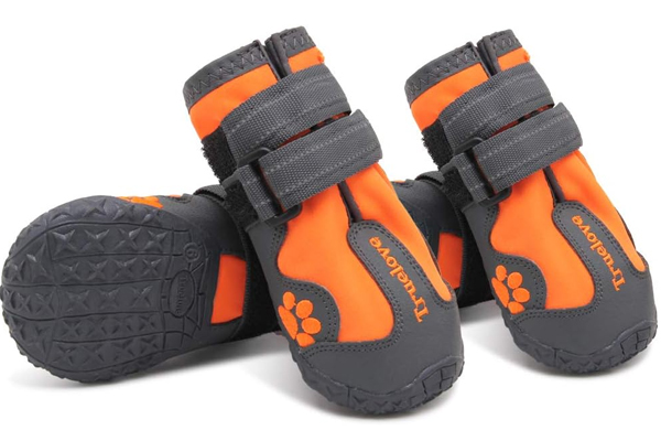 Bottines pour chien en voyage