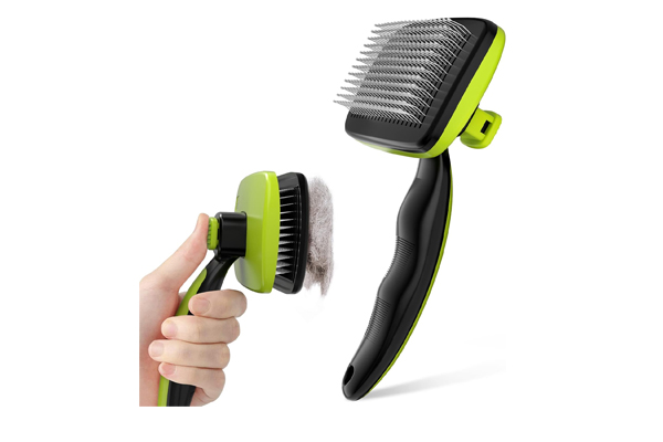 Brosse pour chien en voyage