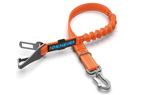 Ceinture de sécurité pour chien en voyage