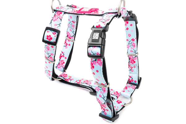 Harnais sakura pour chien en voyage