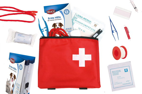 Kit secours pour chien en voyage
