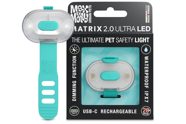 Lumiere pour chien en voyage