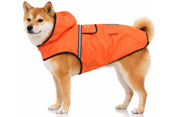 Imperméable pour chien en voyage