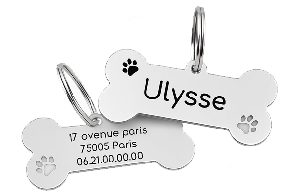 Médaille gravée pour chien en voyage