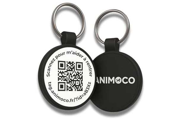 Médaille avec QR Code pour chien en voyage