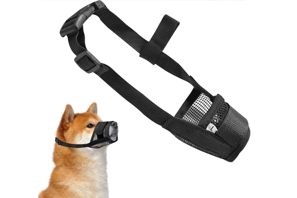 Muselière pour chien en voyage