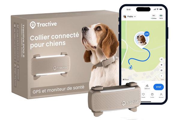 Traceur GPS pour chien en voyage