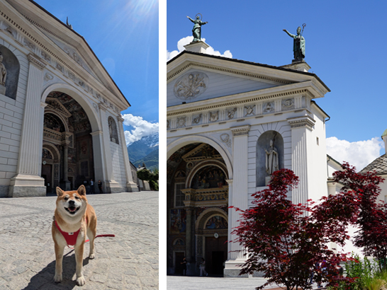 Vallée d'Aoste avec un chien