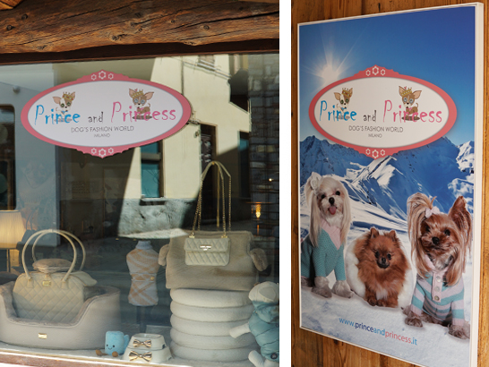 Boutique pour accessoires de chien à Courmayeur