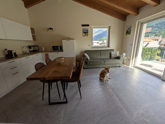 Terrasse de Dyno avec un chien