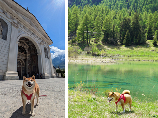 La Vallée d'Aoste avec un chien