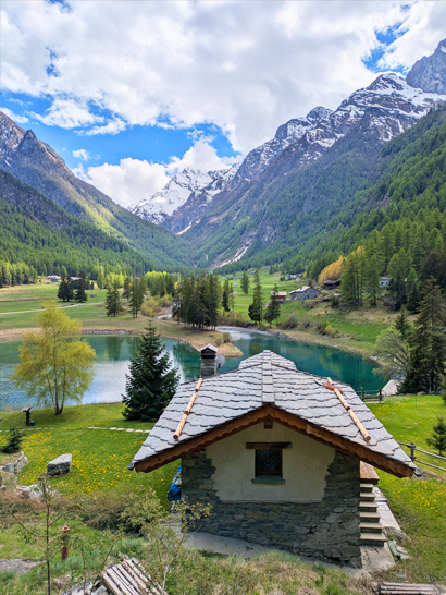 Chien qui court en montagne en Italie