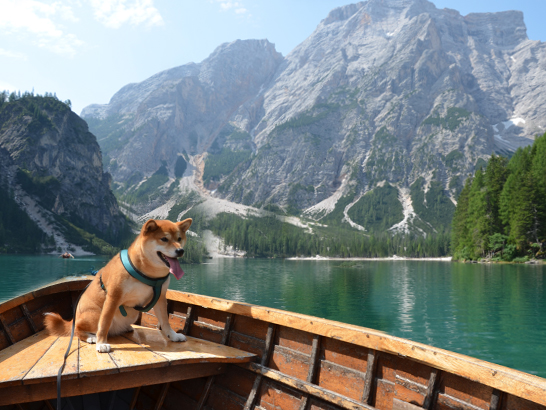 Lago di Braies en barque avec son chien