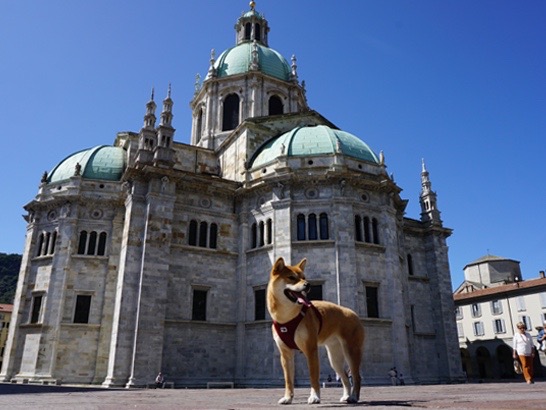 L'Italie avec son chien