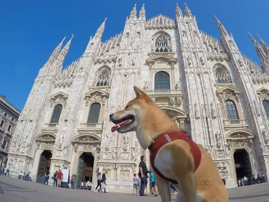 Milan et la région des lacs avec un chien