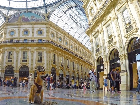 Vittorio Emanuele II avec un chien à Milan