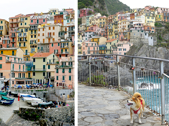 Cinque Terre avec un chien