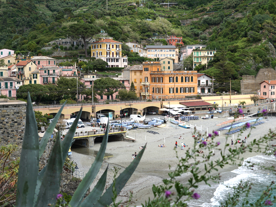 Village de Monterosso avec son chien