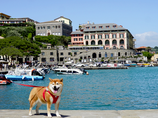 Maisons colorées de Portovenere