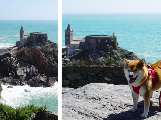 Eglise San Pietro à Portovenere avec un chien