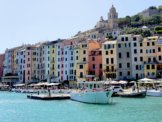 Chien à Portovenere