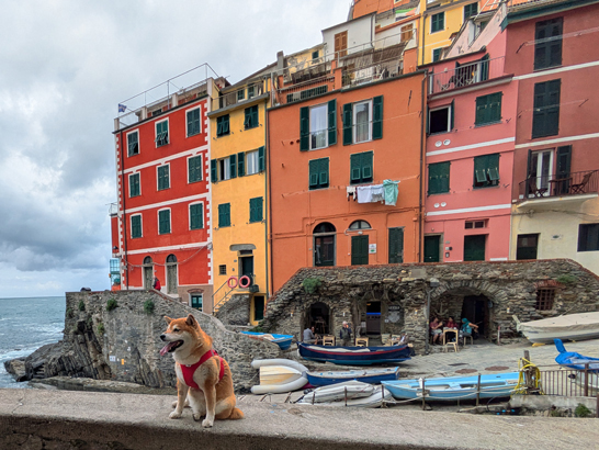 Village de Riomaggiore avec son chien