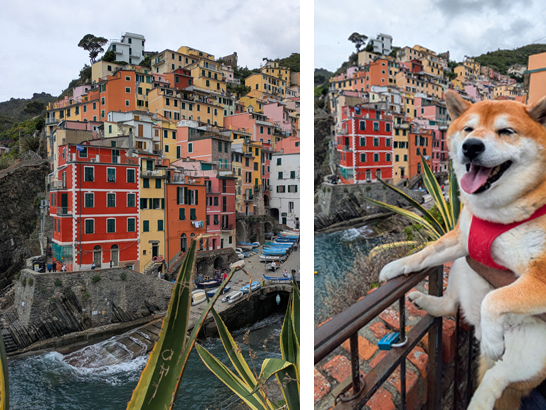 Village de Riomaggiore avec son chien