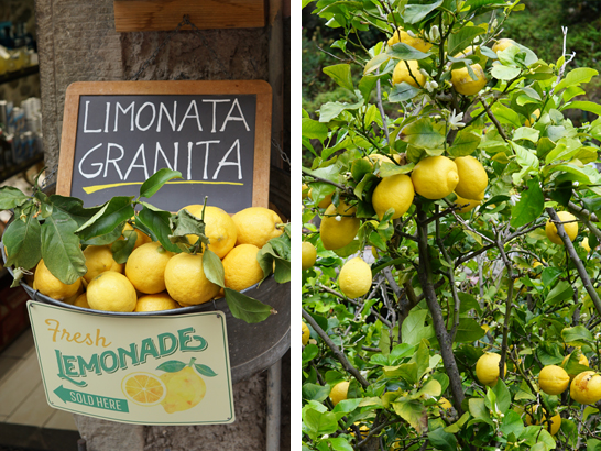 Les citrons de la Riviera Ligure