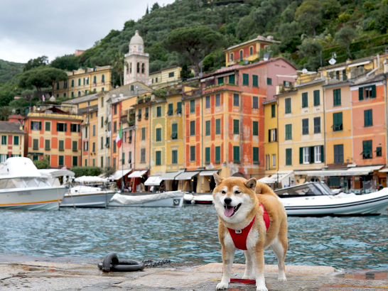 Front de mer à Santa Margherita Ligure