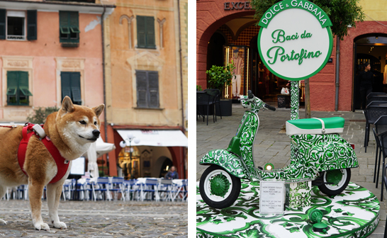 Portofino avec son chien