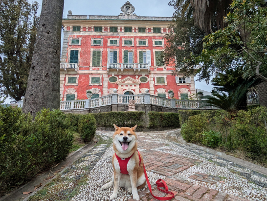 Villa Durazzo à Santa Margherita avec un chien
