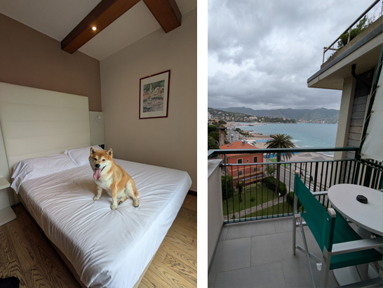 Hotel Santa Margherita avec un chien