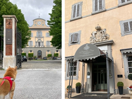 Hotel Bagni di Pisa avec un chien