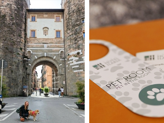 Hotel Ilaria à Lucca dog-friendly