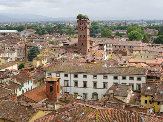 Remparts de Lucca avec son chien