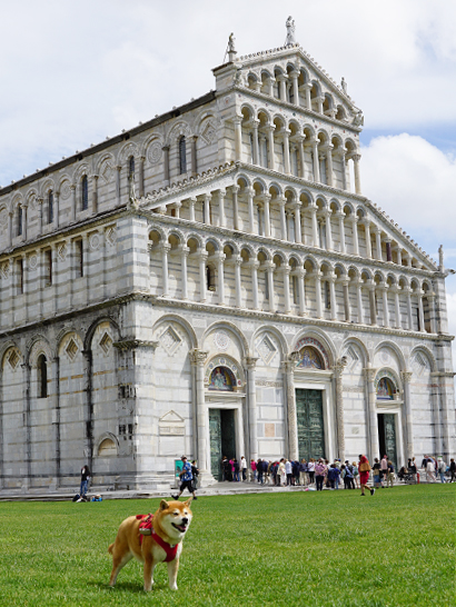 Pise avec un chien en Italie