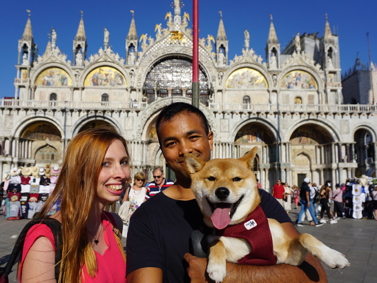 La basilique Saint-Marc à Venise avec un chien