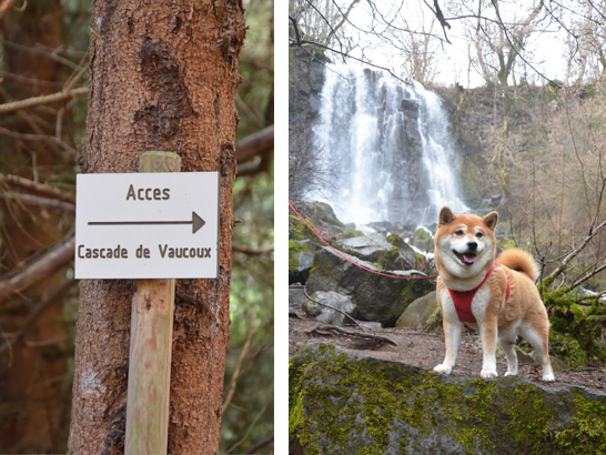 Cascade de Vaucoux avec son chien