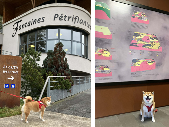 Fontaines Saint Nectaire avec un chien