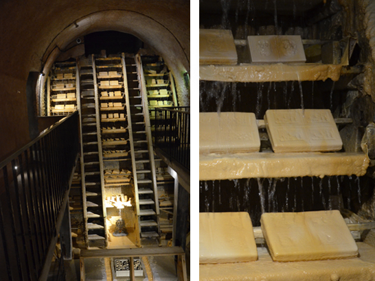 Fontaines Saint Nectaire avec un chien