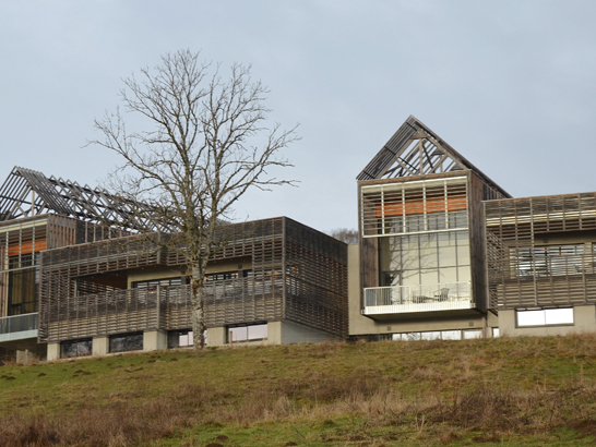 Mildiss avec un chien