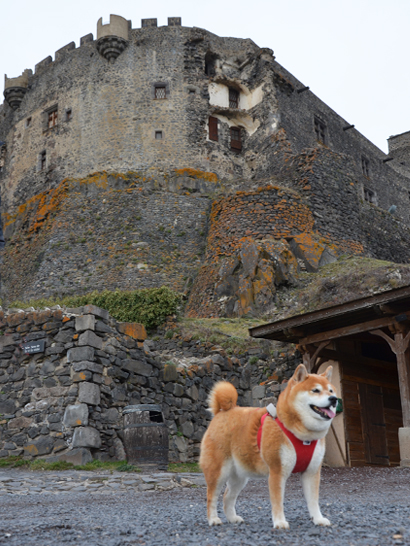 Château de Murol avec un chien