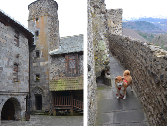 Château de Murol avec un chien
