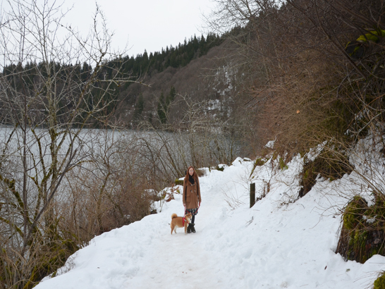 Lac pavin avec un chien