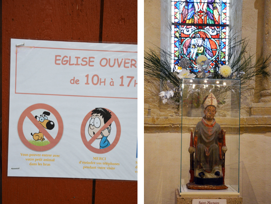 Saint Nectaire avec un chien