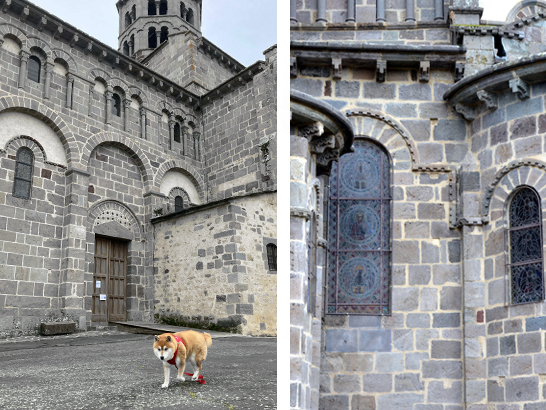 Saint Nectaire avec un chien