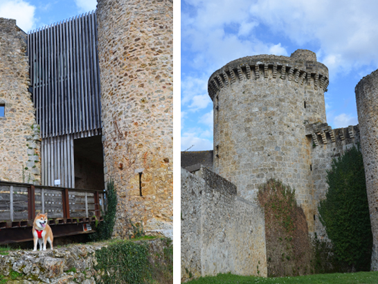 Château de Dampierre avec un chien