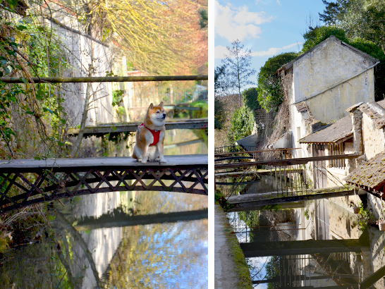 Château de Dampierre