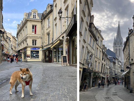 Le centre ville de Caen avec un chien